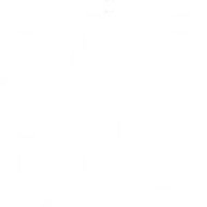 Meet your Posher, Connor